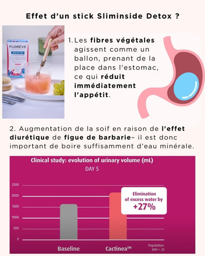 🌿 Échantillon découverte – 3 sticks pour tester SlimInside®DETOX