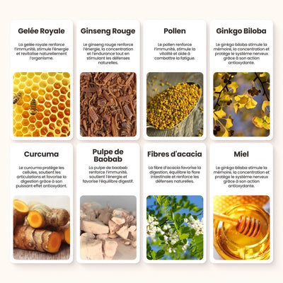 [IN] FORCE Dragon Power