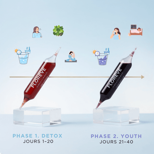 Pack Complet 40 Jours – Détox & Jeunesse