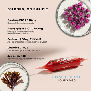 Pack Complet 40 Jours – Détox & Jeunesse