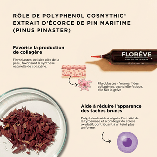 Pack Complet 40 Jours – Détox & Jeunesse