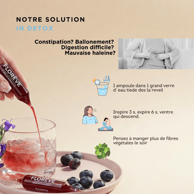 Pack Complet 40 Jours – Détox & Jeunesse