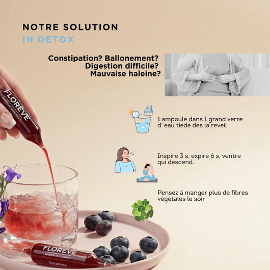 Pack Complet 40 Jours – Détox & Jeunesse