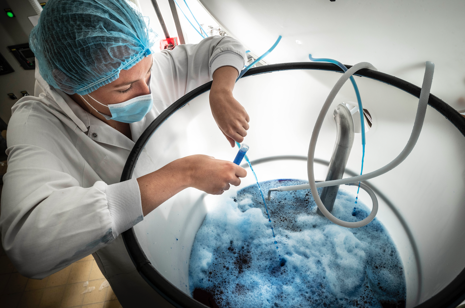 20 mg de phycocyanine