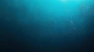 Microcollagène marin