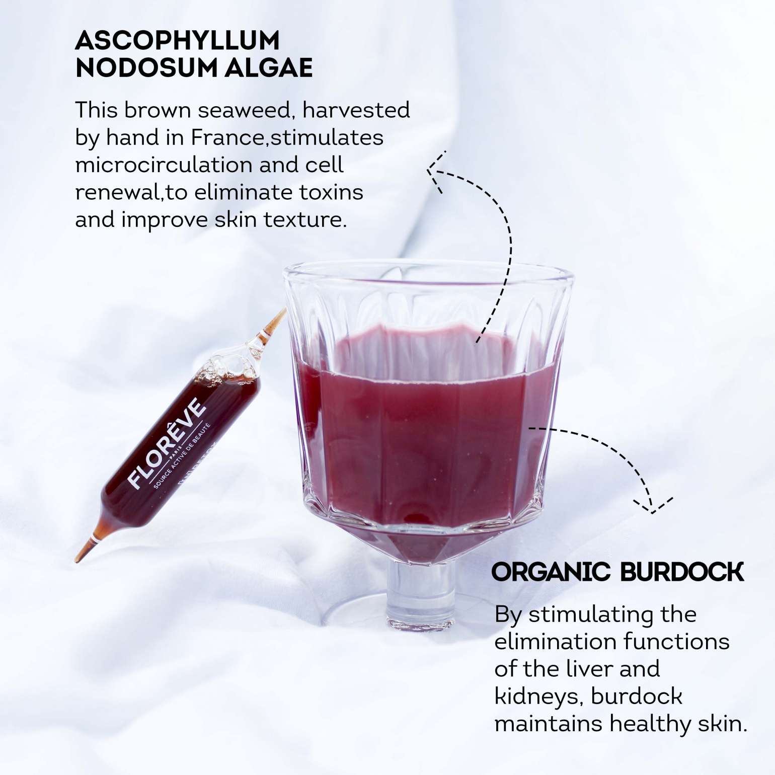 [IN] DETOX CURE ANTI-ACNÉ SHOTS GOÛT MYRTILLE